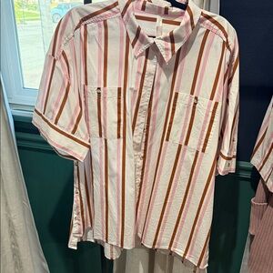 Anthropologie Vertical Stripe Short-Sleeve Button-Down — Pink, Brown & White